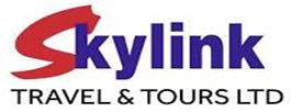 Skylink logo